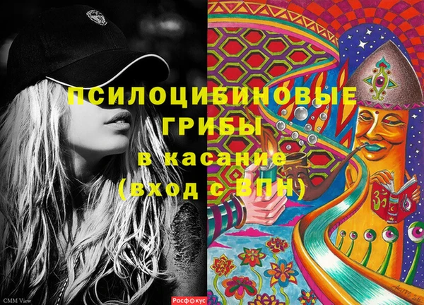 винт Баксан