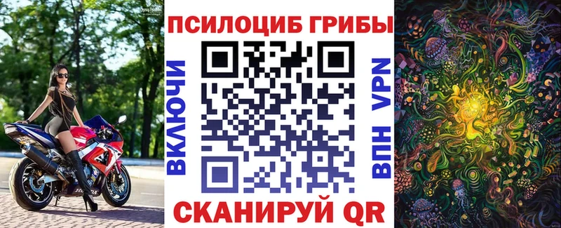 купить закладку  Вяземский  блэк спрут онион  Галлюциногенные грибы Cubensis 